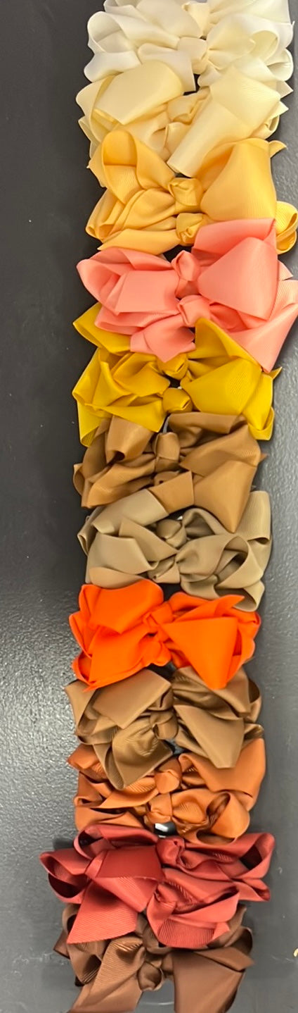 Mutli Colored Bows