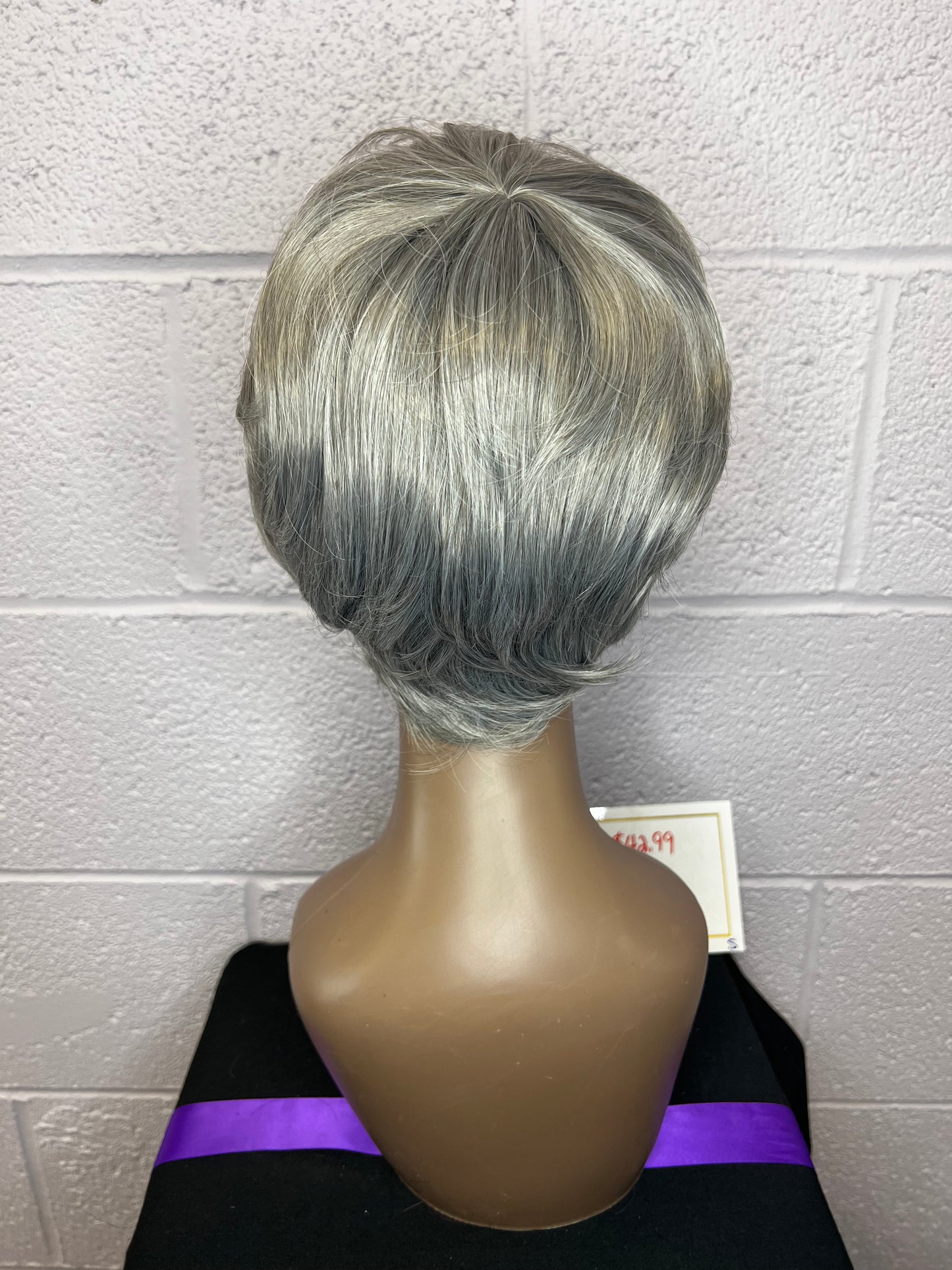 Grey Pixie Bob